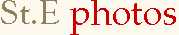 Flash Web